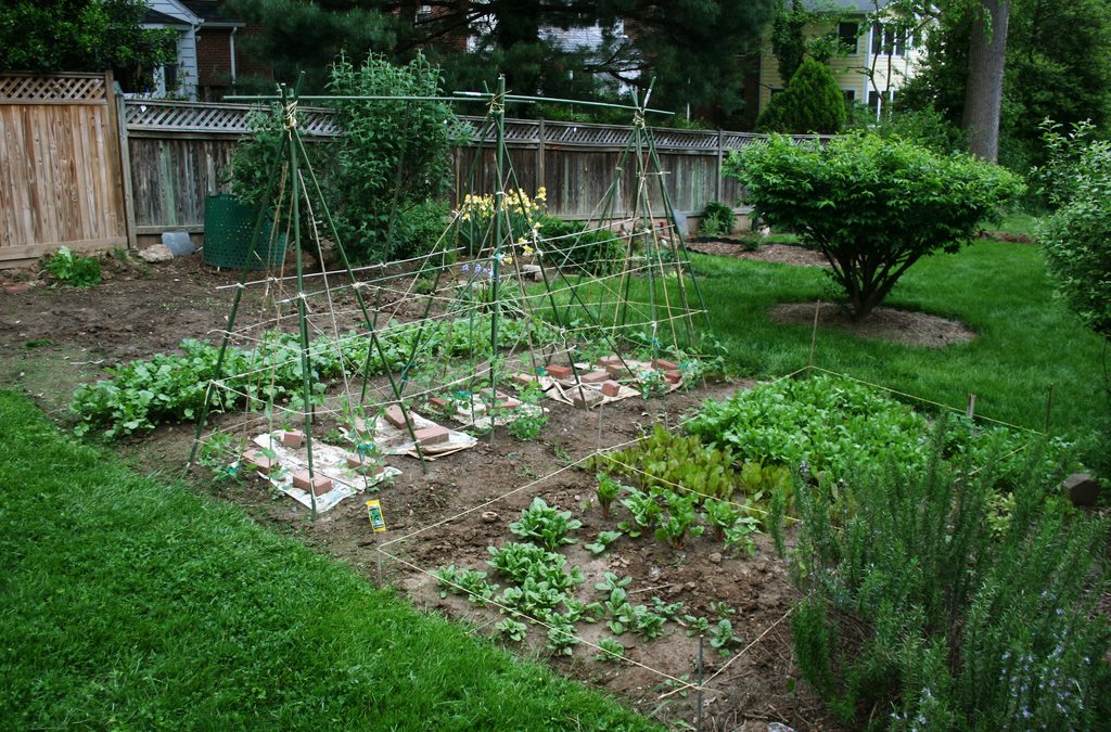 soil inspections