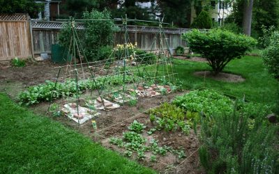 Garden and Landscaping Trends Start With Soil Inspections